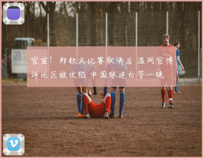 官宣！郑钦文比赛取消后 温网官博评论区被攻陷 中国球迷白等一晚