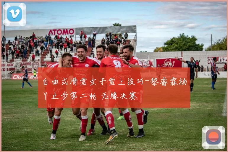 自由式滑雪女子雪上技巧-黎睿霖杨丫止步第二轮 无缘决赛