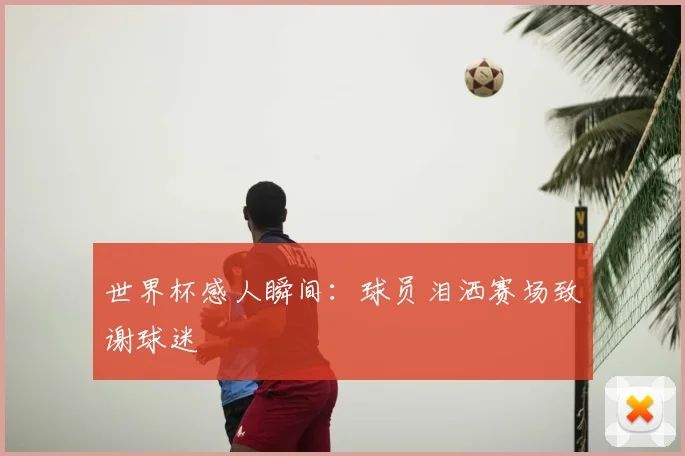 世界杯感人瞬间：球员泪洒赛场致谢球迷