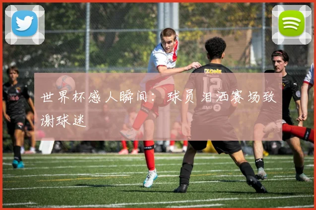 世界杯感人瞬间：球员泪洒赛场致谢球迷
