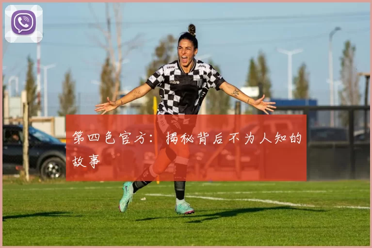 第四色官方:揭秘背后不为人知的故事