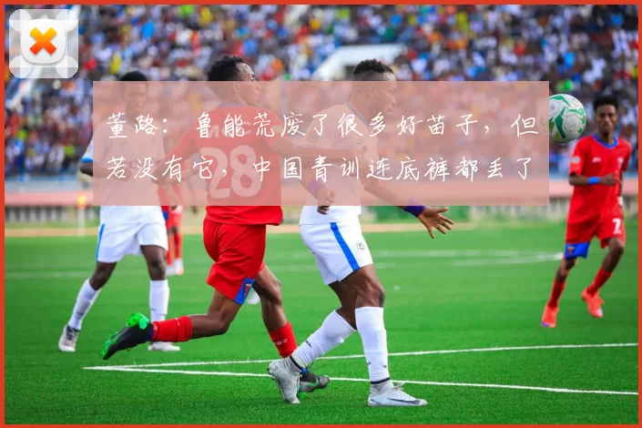 董路：鲁能荒废了很多好苗子，但若没有它，中国青训连底裤都丢了