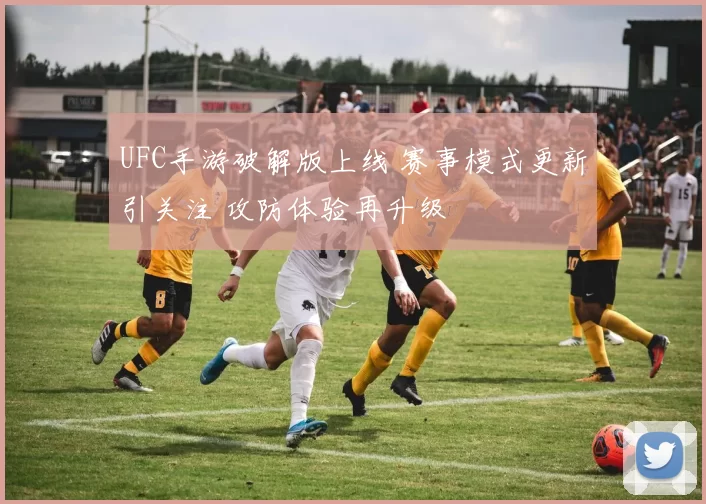 UFC手游破解版上线 赛事模式更新引关注 攻防体验再升级